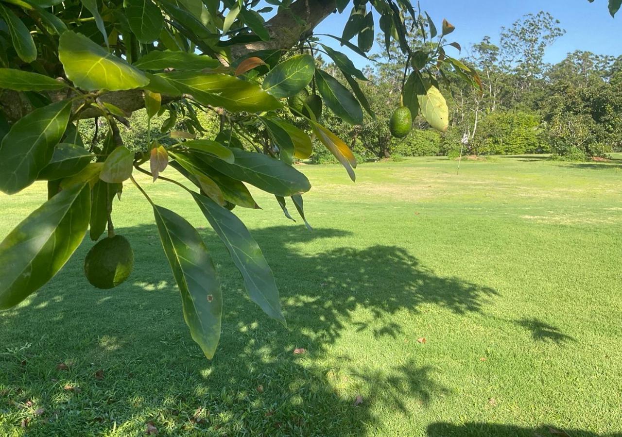 Sunshine Coast Retreat Your Own Private Golf Course Diddillibah Exteriér fotografie